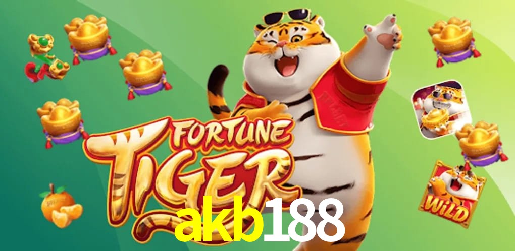 Experiência VIP akb188